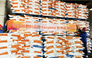 川恒·微资讯 | 扬帆起航！川恒全新国际肥料品牌“Conphos”首单出海印尼